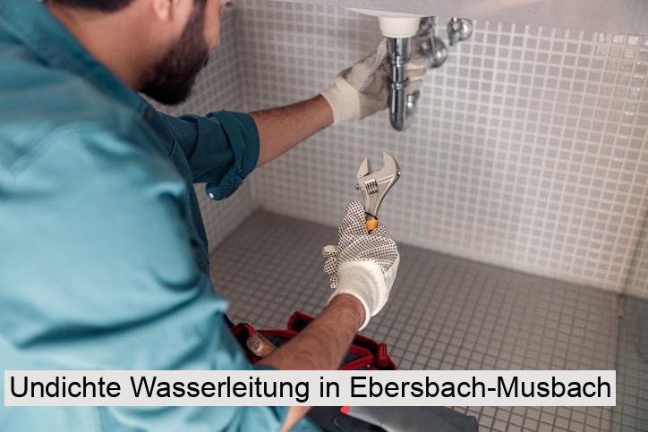 Undichte Wasserleitung in Ebersbach-Musbach